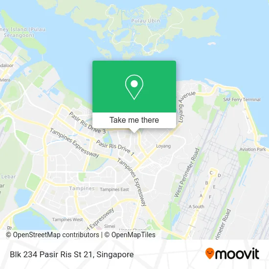 Blk 234 Pasir Ris St 21 map