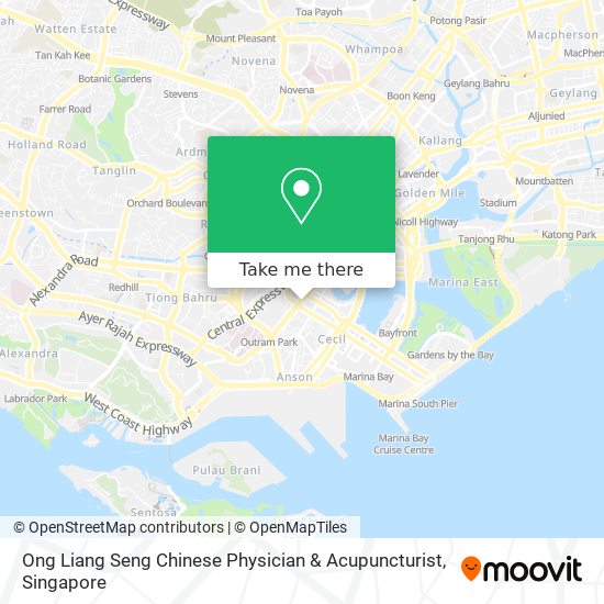 Ong Liang Seng Chinese Physician & Acupuncturist map