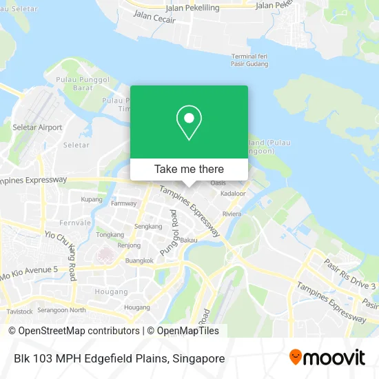 Blk 103 MPH Edgefield Plains map