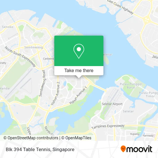 Blk 394 Table Tennis map