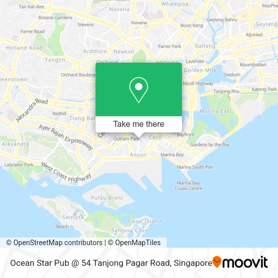 Ocean Star Pub @ 54 Tanjong Pagar Road地图