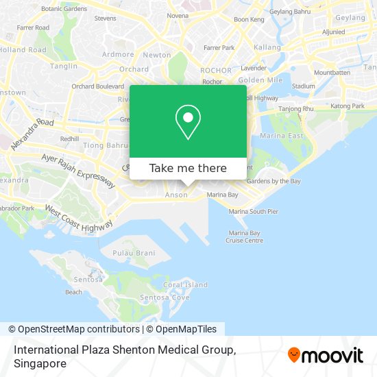 International Plaza Shenton Medical Group地图