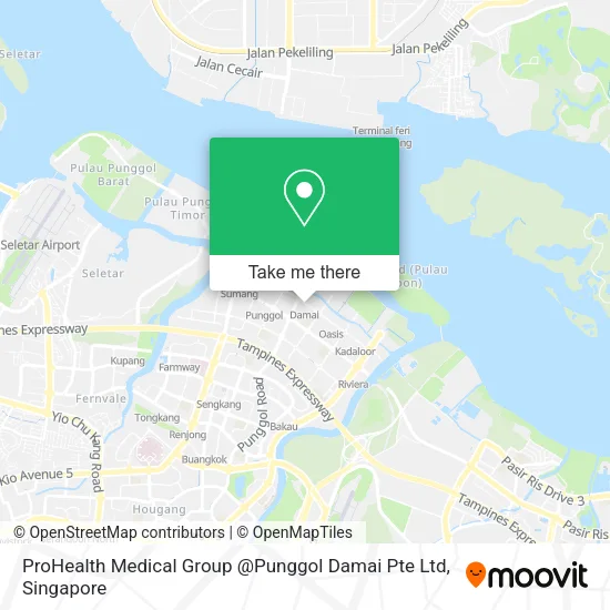 ProHealth Medical Group @Punggol Damai Pte Ltd map