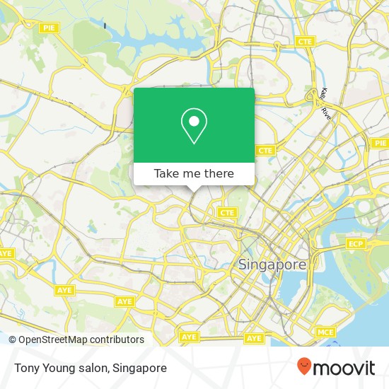 Tony Young salon map