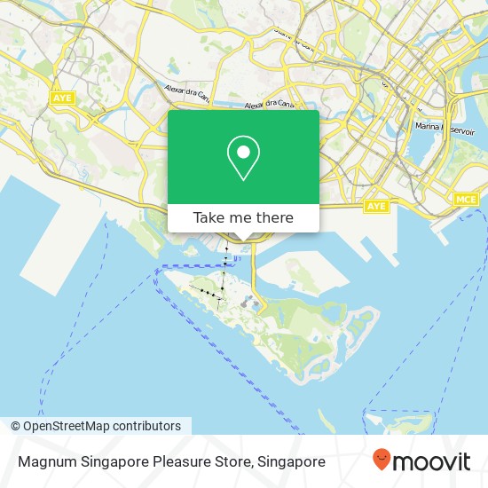 Magnum Singapore Pleasure Store map