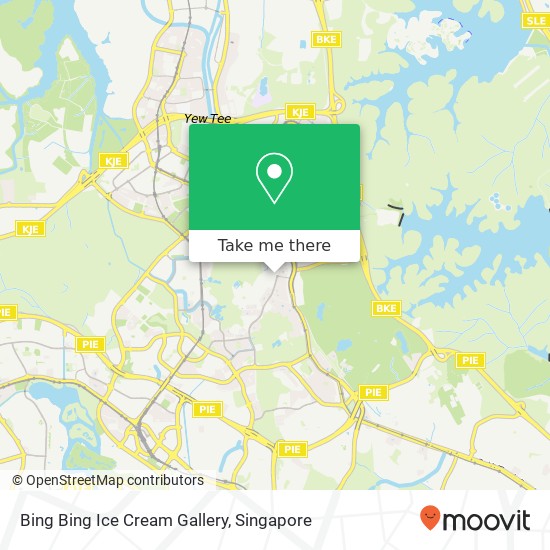 Bing Bing Ice Cream Gallery地图