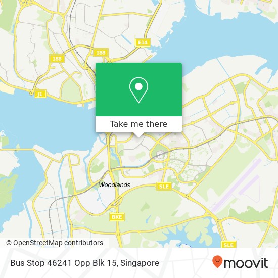 Bus Stop 46241 Opp Blk 15 map