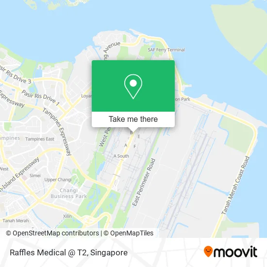Raffles Medical @ T2地图