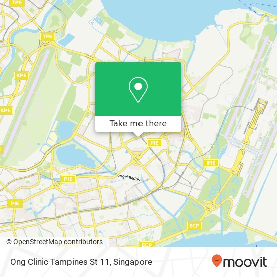 Ong Clinic Tampines St 11地图