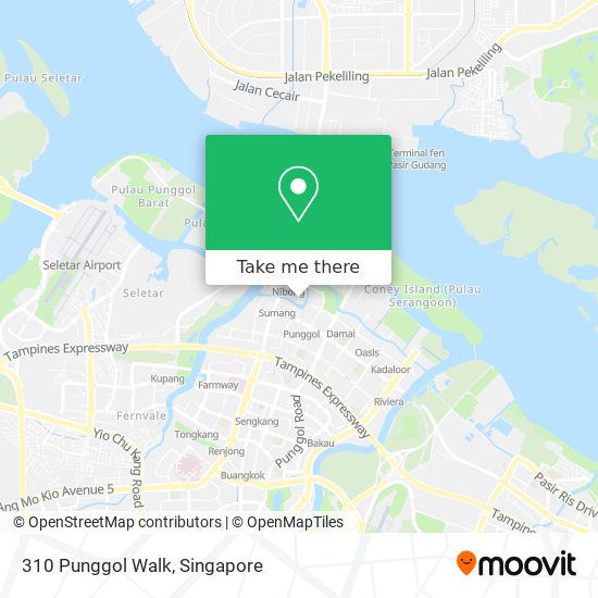 310 Punggol Walk map