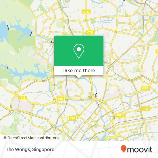 The Wongs map