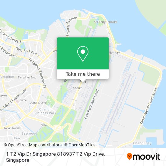 1 T2 Vip Dr Singapore 818937 T2 Vip Drive地图