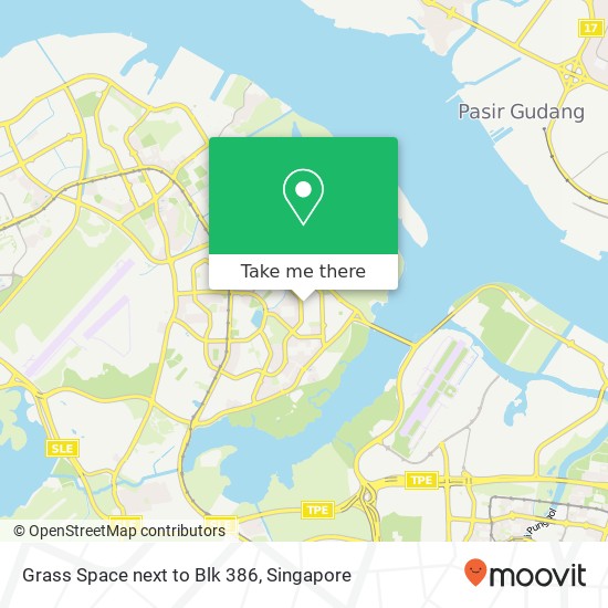 Grass Space next to Blk 386 map