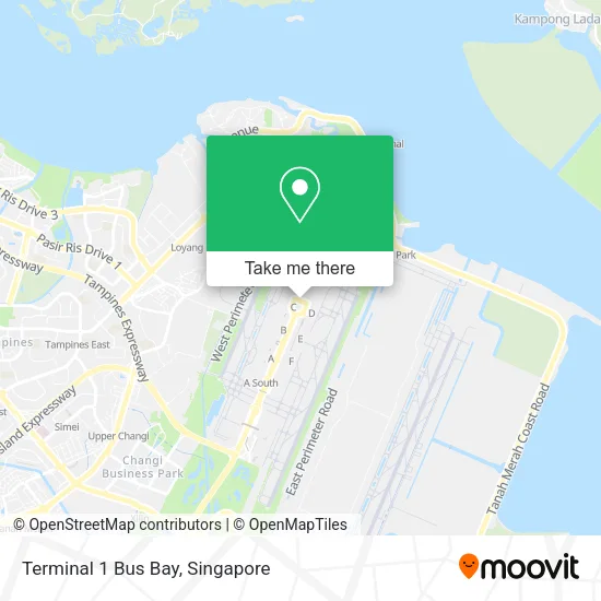 Terminal 1 Bus Bay地图