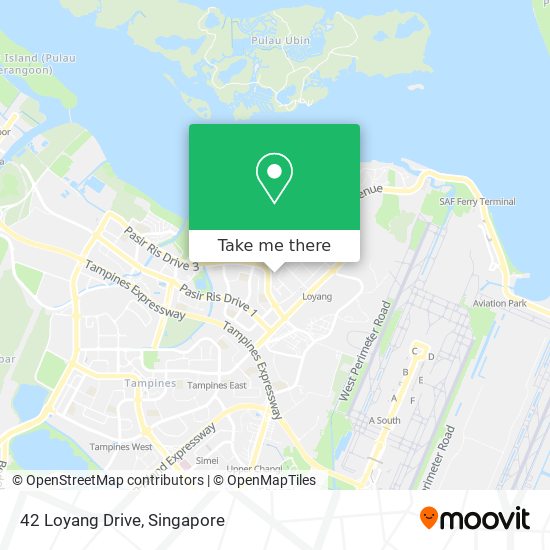 42 Loyang Drive map