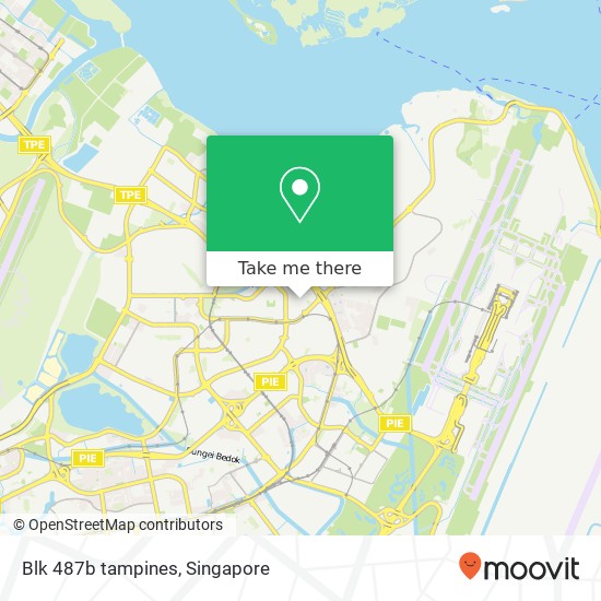 Blk 487b tampines map