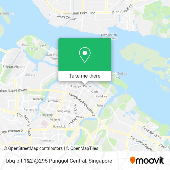bbq pit 1&2 @295 Punggol Central map