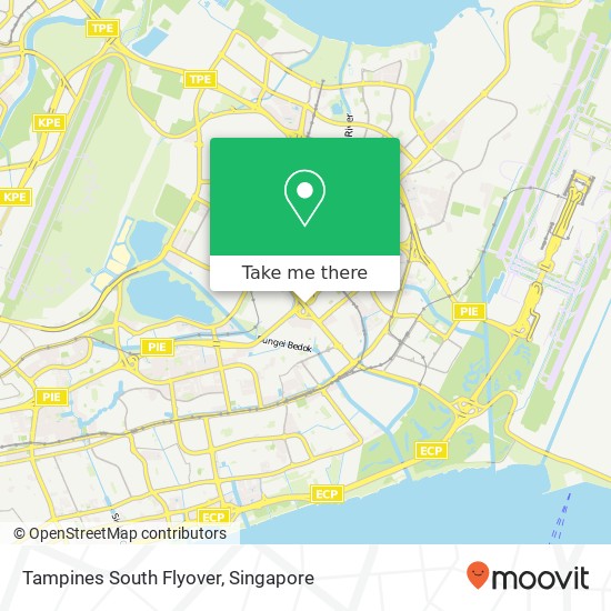 Tampines South Flyover map