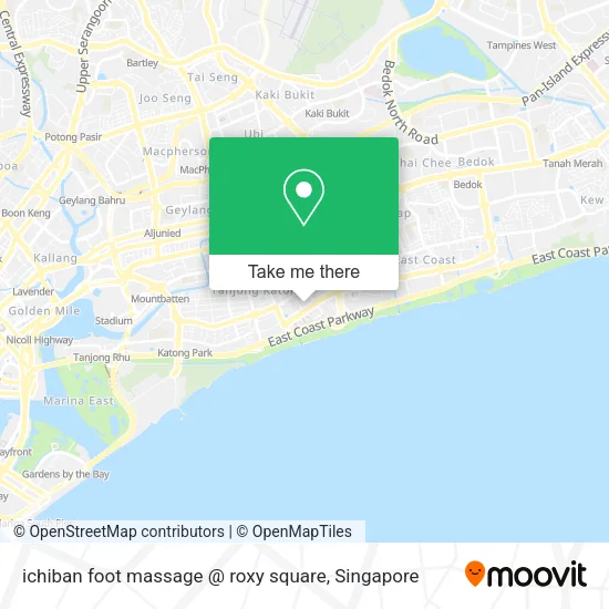 ichiban foot massage @ roxy square map