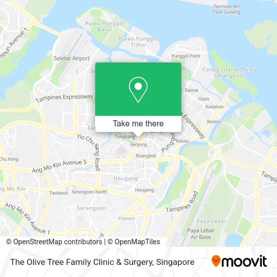 The Olive Tree Family Clinic & Surgery map