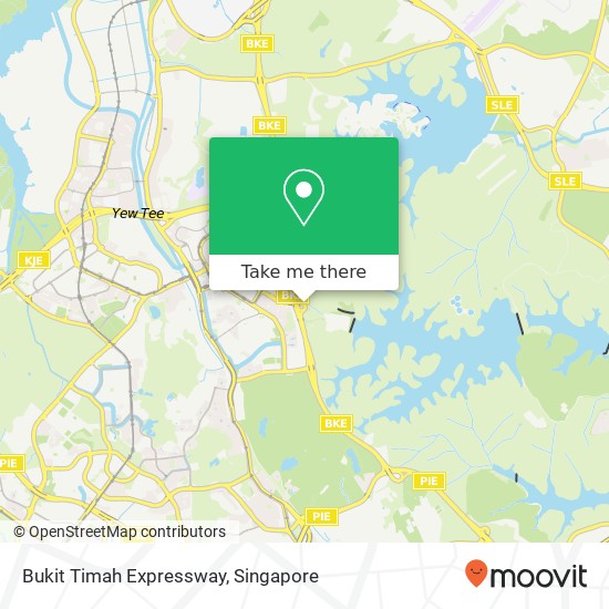 Bukit Timah Expressway map