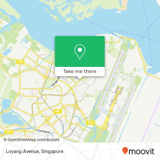 Loyang Avenue地图