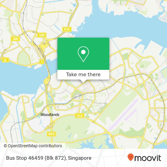 Bus Stop 46459 (Blk 872)地图