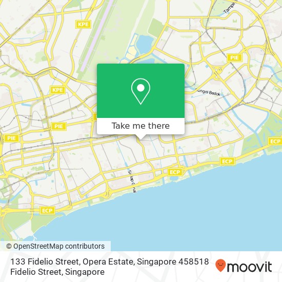 133 Fidelio Street, Opera Estate, Singapore 458518 Fidelio Street map