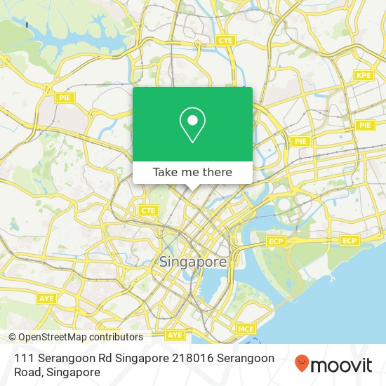 111 Serangoon Rd Singapore 218016 Serangoon Road map