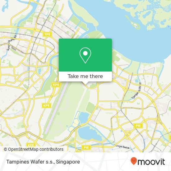 Tampines Wafer s.s. map