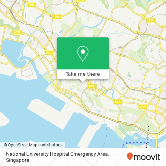 National University Hospital Emergency Area地图