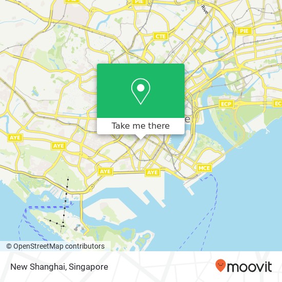 New Shanghai map