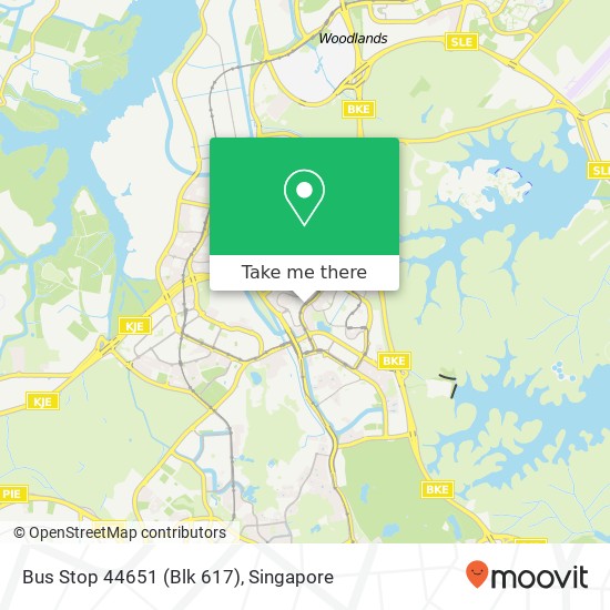 Bus Stop 44651 (Blk 617)地图