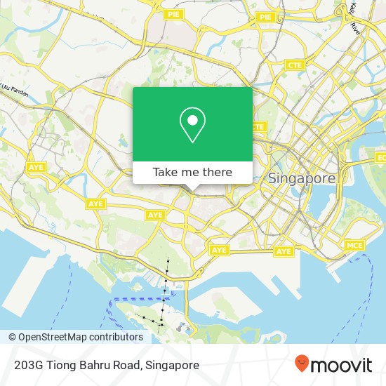 203G Tiong Bahru Road地图