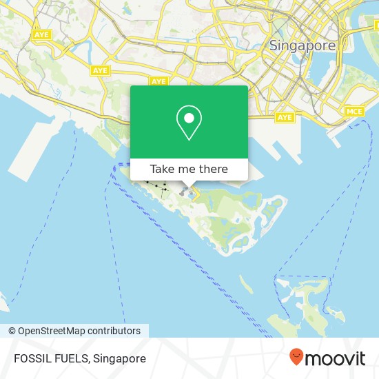 FOSSIL FUELS, Singapore 09地图