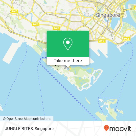 JUNGLE BITES, Singapore 09 map