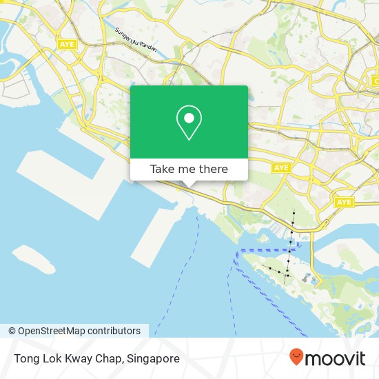 Tong Lok Kway Chap, 114 Pasir Panjang Rd Singapore 11地图