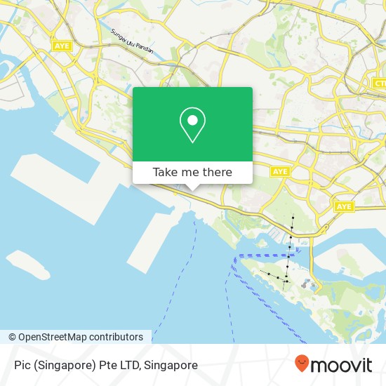 Pic (Singapore) Pte LTD, 102F Pasir Panjang Rd Singapore 118530地图