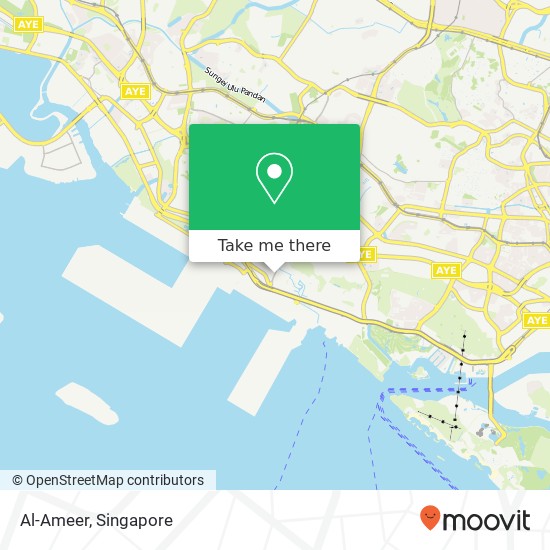 Al-Ameer, 28 S Buona Vista Rd Singapore 11地图