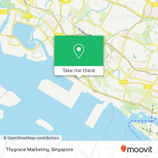 Thygrace Marketing, 26 Wholesale Cntr Singapore 110026 map