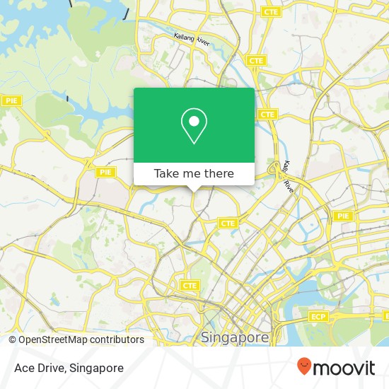 Ace Drive, 1 Thomson Rd Singapore 300001 map