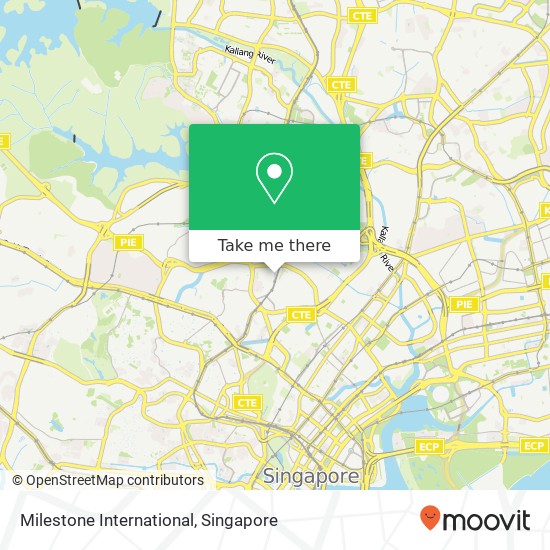 Milestone International, 61 Irrawaddy Rd Singapore 32地图