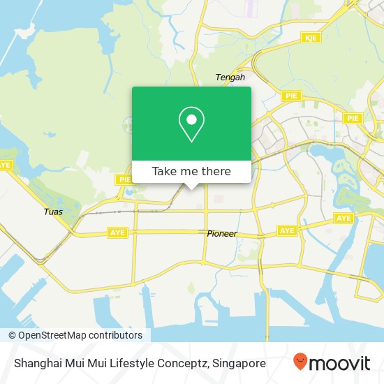 Shanghai Mui Mui Lifestyle Conceptz, 19 Kian Teck Ave Singapore地图