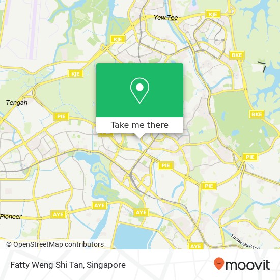 Fatty Weng Shi Tan, 155 Bukit Batok St 11 Singapore 65地图