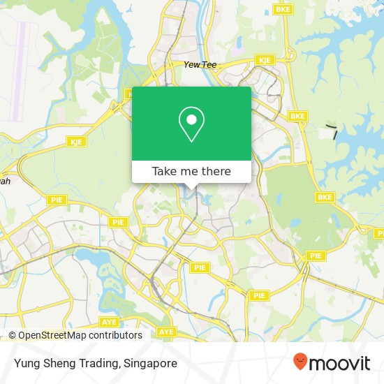 Yung Sheng Trading, 374 Bukit Batok St 31 Singapore 65地图