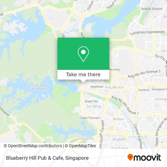 Blueberry Hill Pub & Cafe map