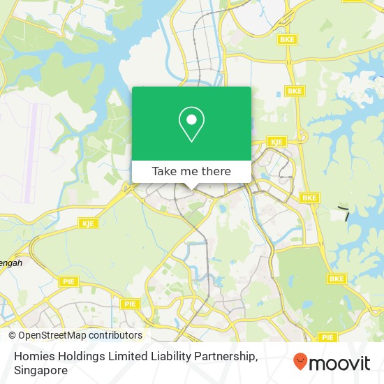Homies Holdings Limited Liability Partnership, 2E Hong San Walk Singapore 689051地图
