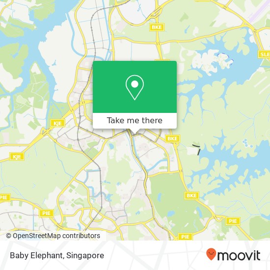 Baby Elephant, 15 Petir Rd Singapore 67地图