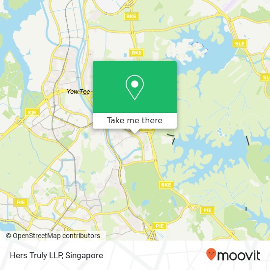 Hers Truly LLP, 219 Petir Rd Singapore 670219地图