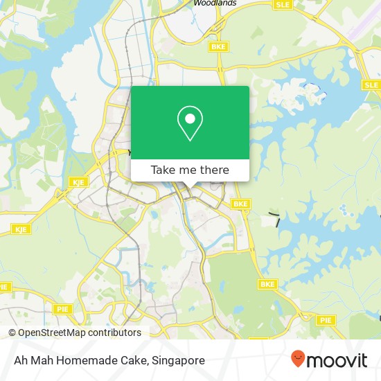 Ah Mah Homemade Cake, 1 Jelebu Rd Singapore地图